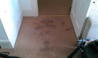 Carpet Cleaners Brighton 352514 Image 2